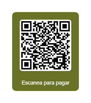 Pago manual Web Pay - Descubre la nueva forma de pago manual para tus servicios.